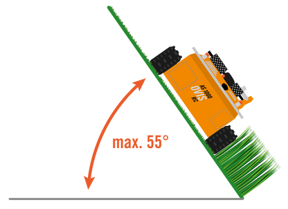 AS-Motor AS 1000 OVIS EVO RC
